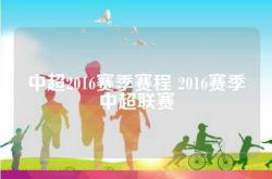 国家队比赛时间为2016年3月21日至2016年11月15日