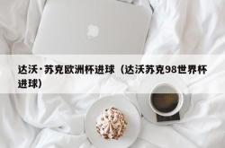 达沃·苏克欧洲杯进球（达沃苏克98世界杯进球）