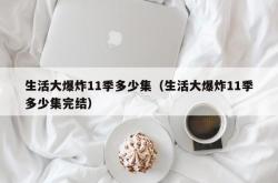 生活大爆炸11季多少集（生活大爆炸11季多少集完结）