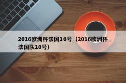 2016欧洲杯法国10号（2016欧洲杯法国队10号）