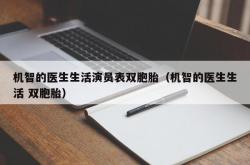 机智的医生生活演员表双胞胎（机智的医生生活 双胞胎）